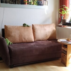 Schlaf-Sofa GIORGIO